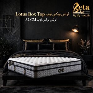 لوتس مربتة لوتس 32سم بوكس توب- متصلة | Lotus